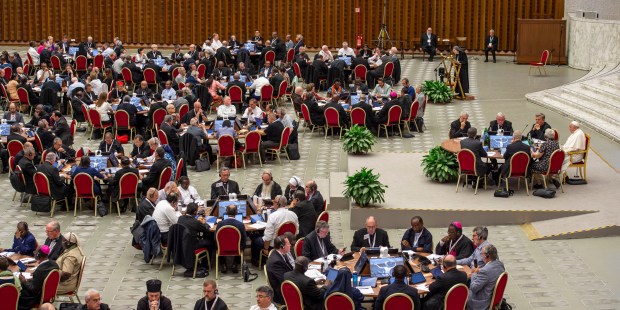 What does the Synod report say about controversial issues? - Vimarsana News