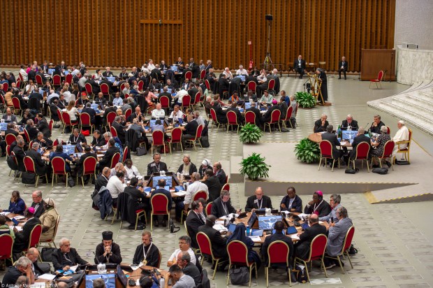 Synod 2023 - General Congregation - Instrumentum Laboris/B2