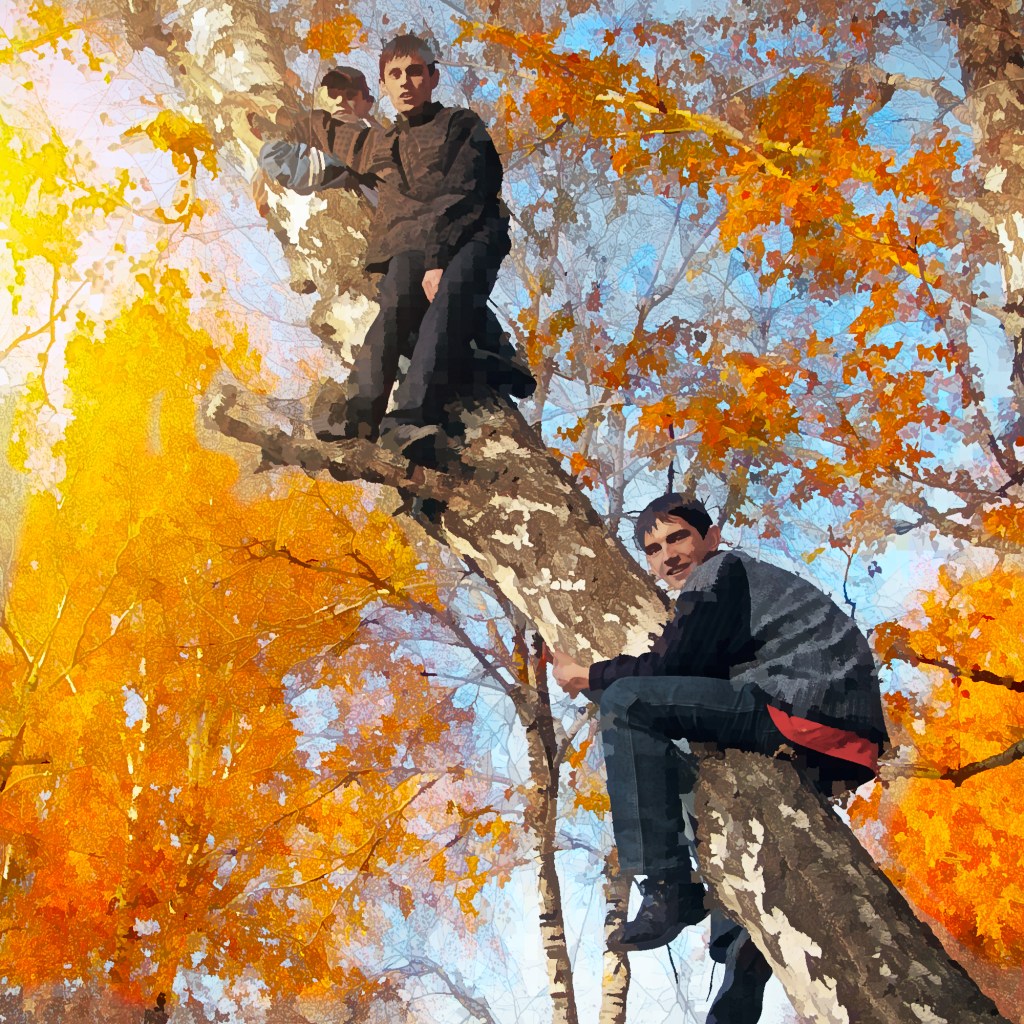 Three boys sitting in a tree
