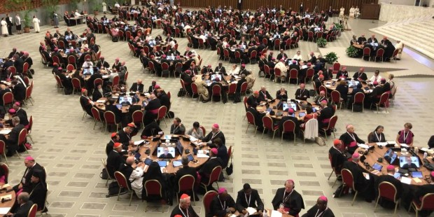 Synod: Pope Francis calls for "silence" and "a pause" - Vimarsana News