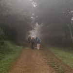 Five lesser-known caminos worth walking this autumn