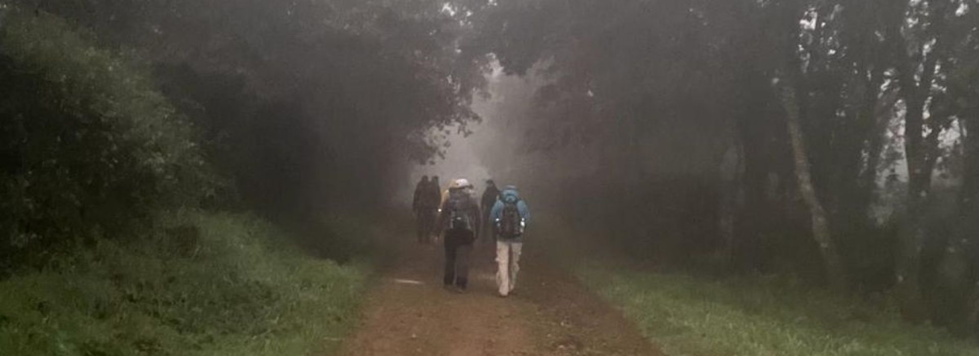 Camino de Santiago