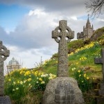 Here are 7 days of prayers for the souls in purgatory
