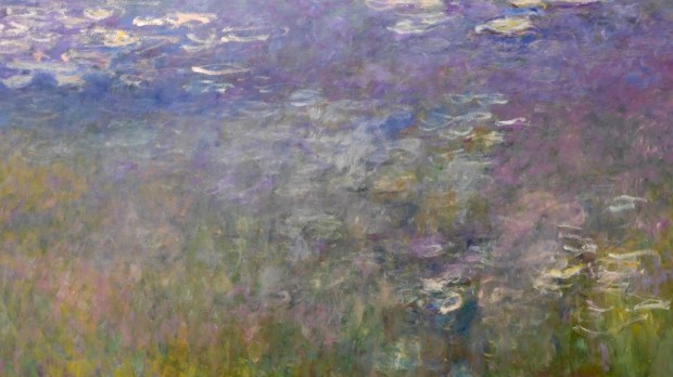 "Water Lilies, Agapanthus," (Detail) Claude Monet, Nelson-Atkins Museum of Art, Kansas City