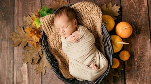 Cute little baby sleeping in a wicker basket