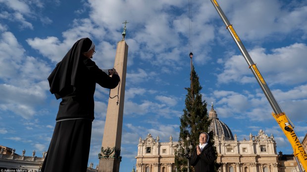 Giant fir donated by the city of Macra in the Italian northern region of Piedmont, lifted by cranes in St. Peter's Square