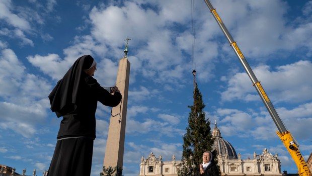 Giant fir donated by the city of Macra in the Italian northern region of Piedmont, lifted by cranes in St. Peter's Square