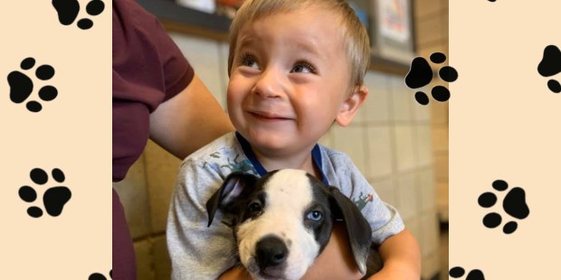 Puppy with cleft lip finds love with little boy who has one! - Vimarsana News