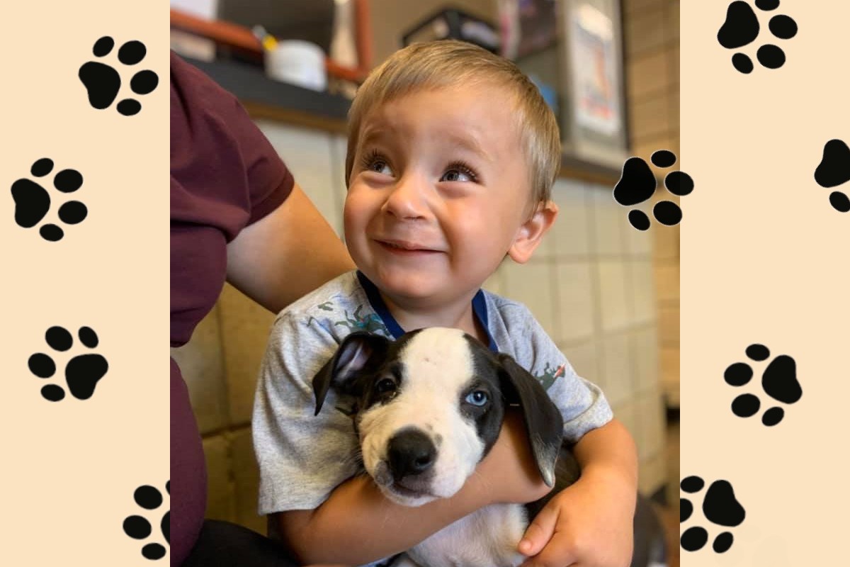 Puppy and boy with cleft lips at Jackson County Animal Shelter, Michigan