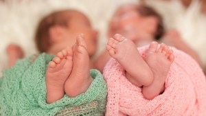 blizanci-bebe-braca-sestre-