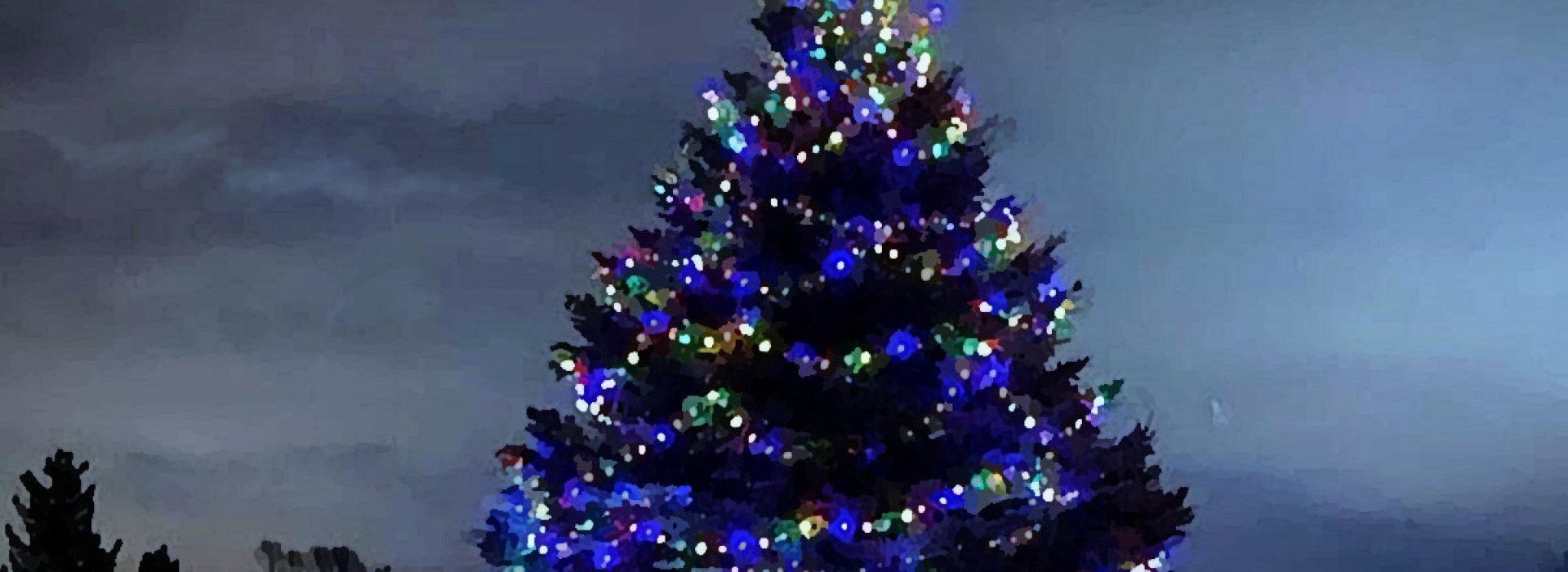 Tall outdoor pine tree decorated with Christmas lights