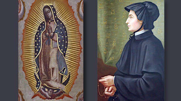 Saint Elizabeth Ann Seton and her image of Our Lady of Guadalupe