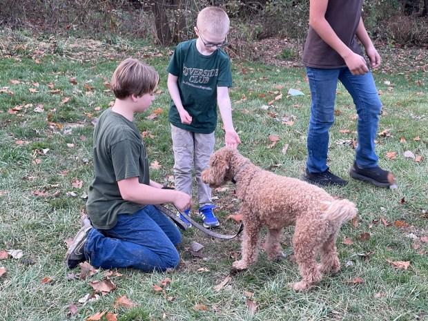 riverside-tutorial-boys-dogs-