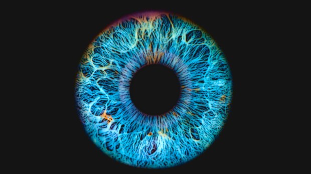 Blue iris and pupil of an eye