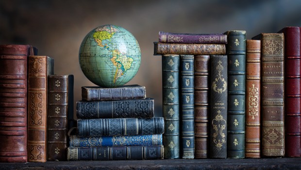 LITTERATURE-shutterstock_2313370475