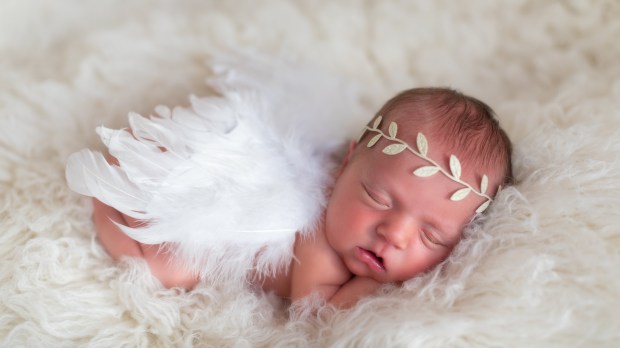 Newborn baby angel