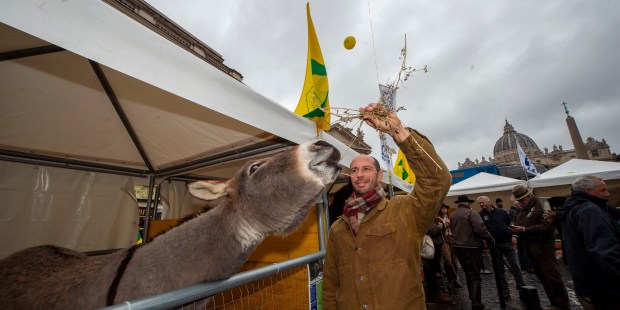 Look at this! Blessing of animals in St. Peter's Square - Vimarsana News