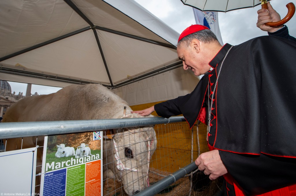 Blessing-the-animals-for-the-feast-day-of-Saint-Anthony-Abbot-Vatican