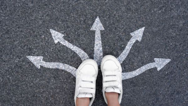 Orientación vocacional