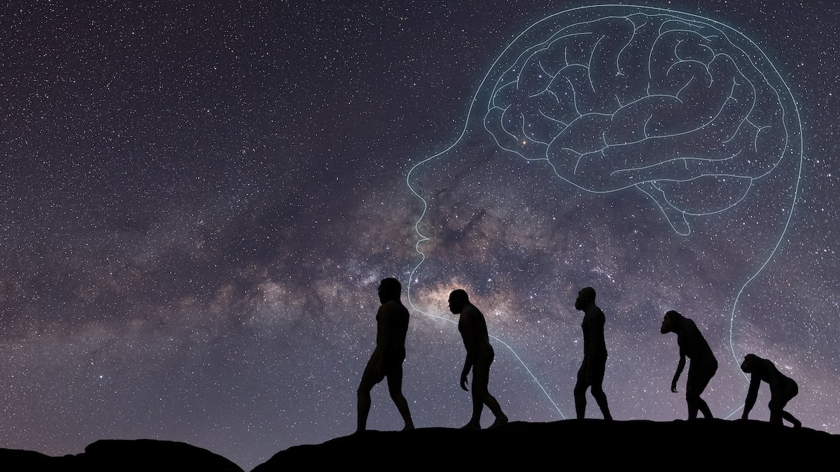 evolution AI homo sapiens monkeys