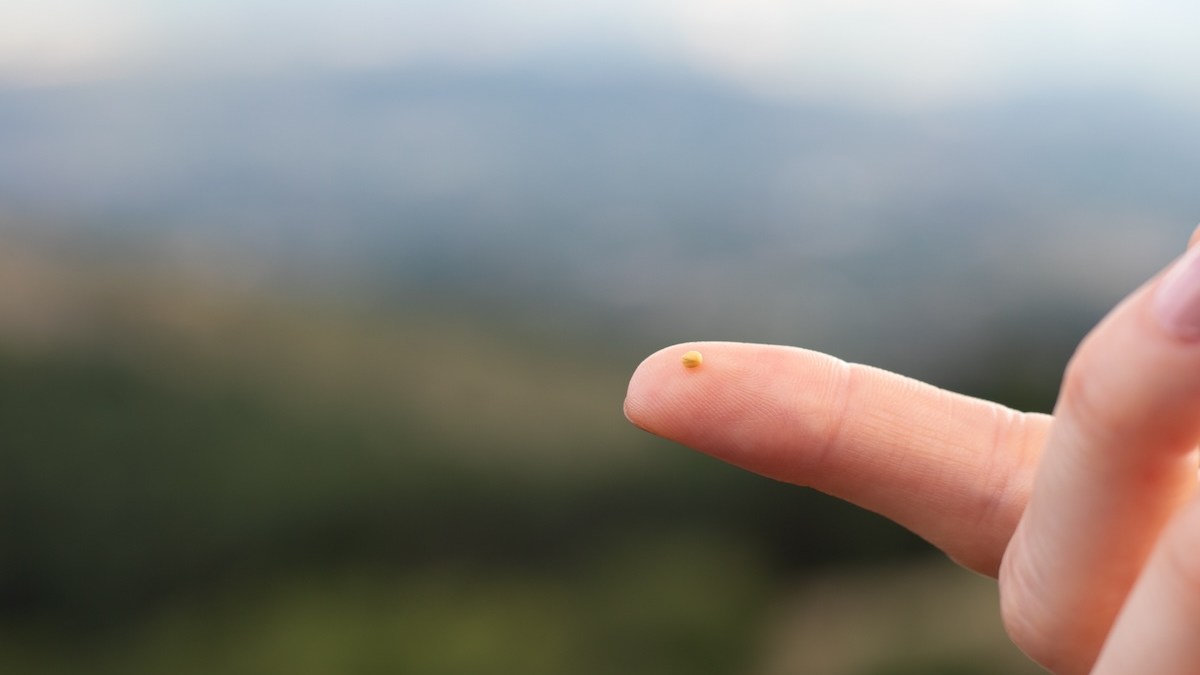 mustard seed faith mountains