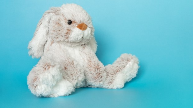 toy child stuffed animal rabbit bunny