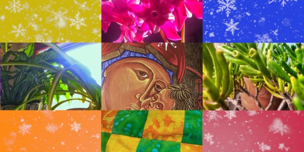 Revamp your living spaces for a brighter, healthier winter - Vimarsana News