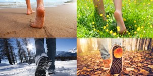 Walking through the four seasons