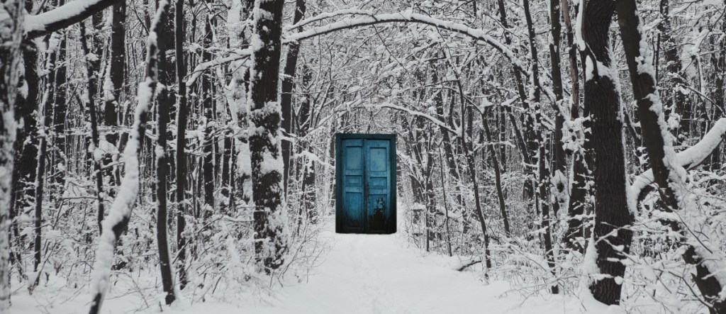 Door in a snowy forest