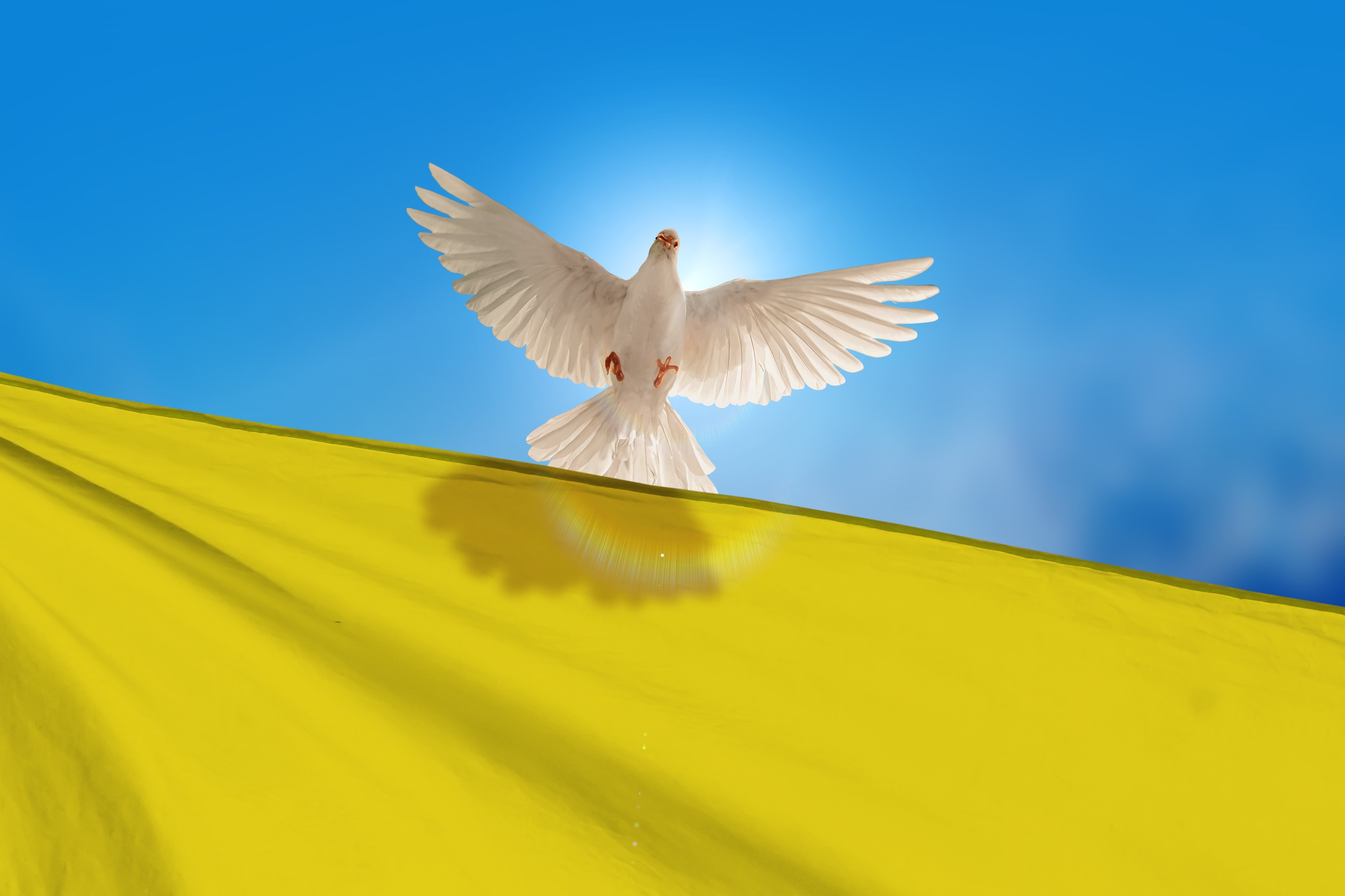 Pope Leo XIV gives aid to Ukraine; urges end of war