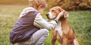 Animals can show us God’s love