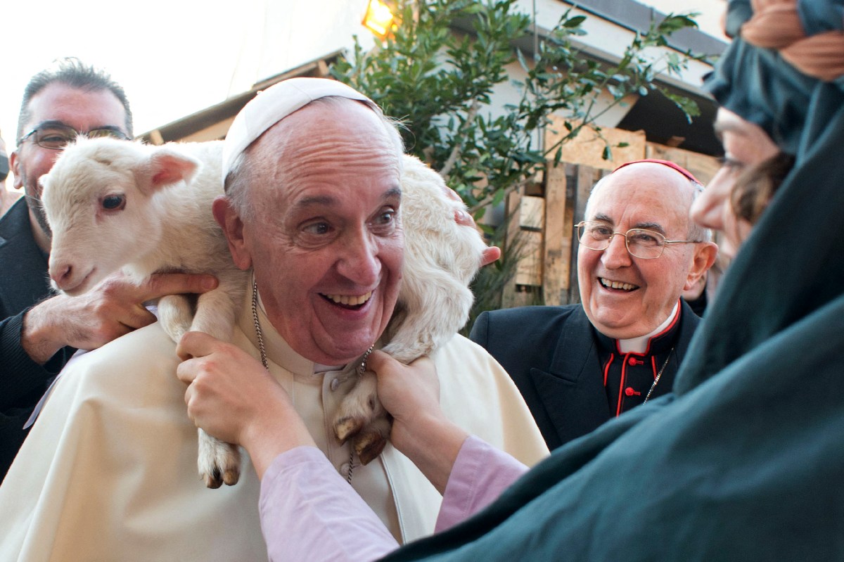 (Slideshow) Pope Francis: Pastor of souls