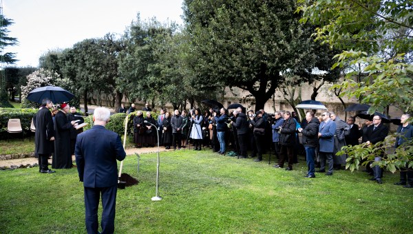 in the Vatican Gardens, a Grafted Apple Tree by the blessed Józef Ulma.