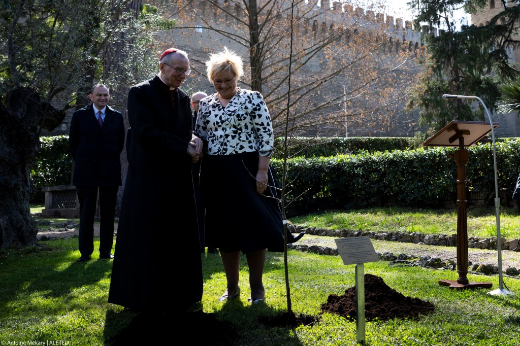 in the Vatican Gardens, a Grafted Apple Tree by the blessed Józef Ulma.