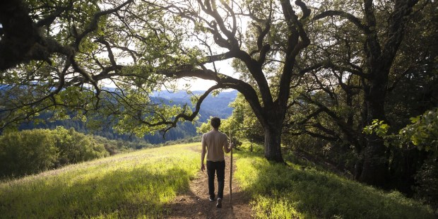 New pilgrimage route in California: "Camino de Sonoma" - Vimarsana News