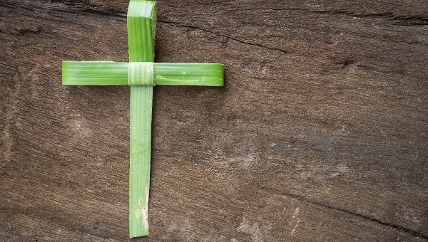 palm-cross-