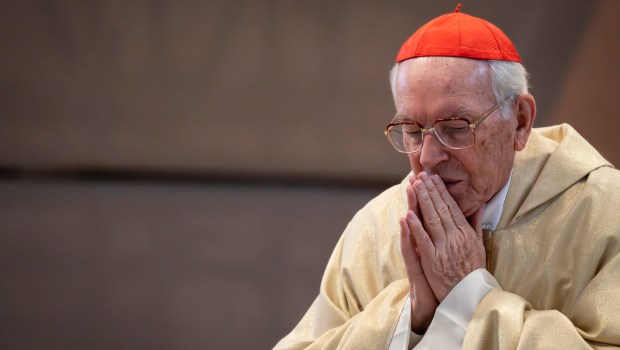 Celebration of the Holy Mass on the occasion of the 10th anniversary of the canonization of (Pope) Saint John Paul II, presided over by Cardinal Giovanni Battista Re