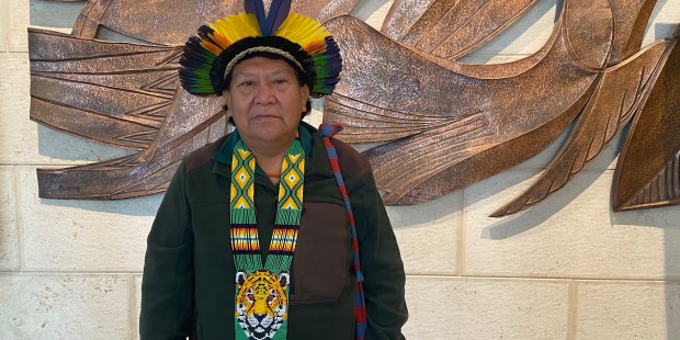 Indigenous Amazon leader asks Pope to defend his people - Vimarsana News