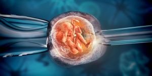 US bishops explain objections to IVF in new primer
