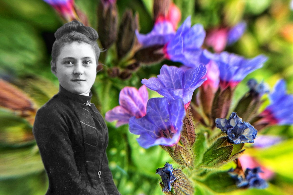 St. Therese of Lisieux against purple flowers