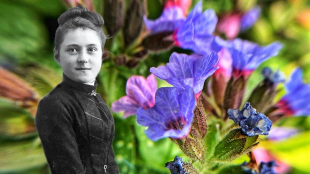 St. Therese of Lisieux against purple flowers