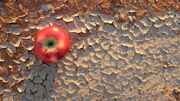 apple on cracked dry ground