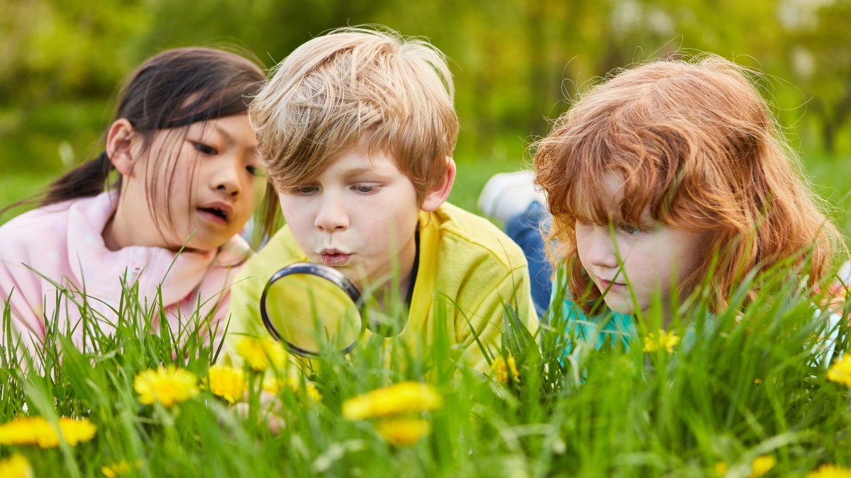 nature-science-kids-