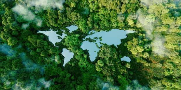 New masters program in environmental ethics - Vimarsana News