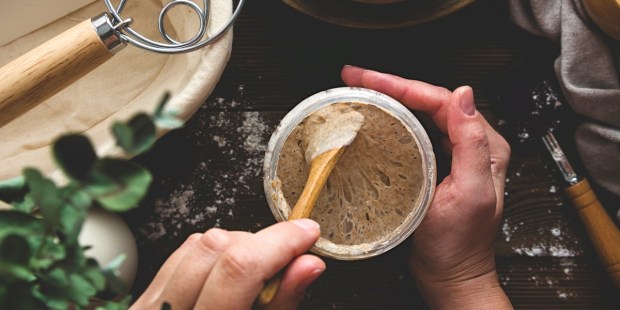 If sourdough baking intimidates you, start here - Vimarsana News