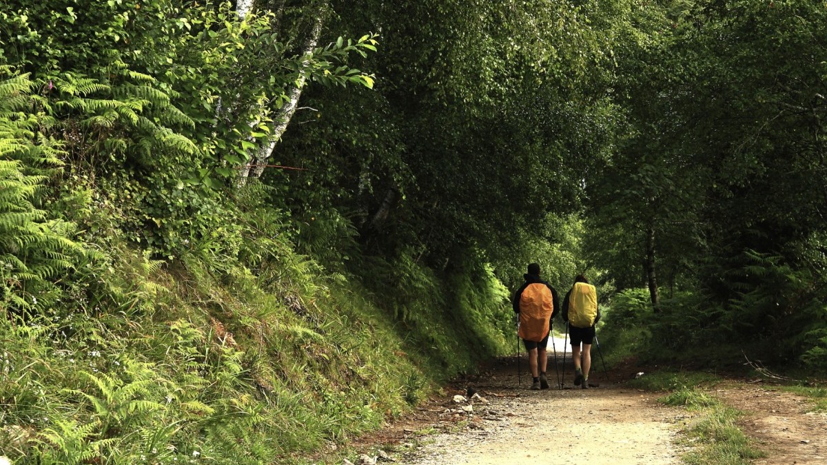 Pèlerins, pèlerinage, marche, randonnée, chemin