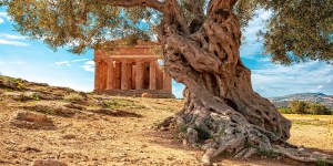 Walking a rediscovered camino in the Sicilian Alps