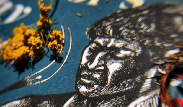 Why Do the Heathen Rage? by Flannery O'Connor - detail of cover illustration by Steve Prince, One Fish Studio
