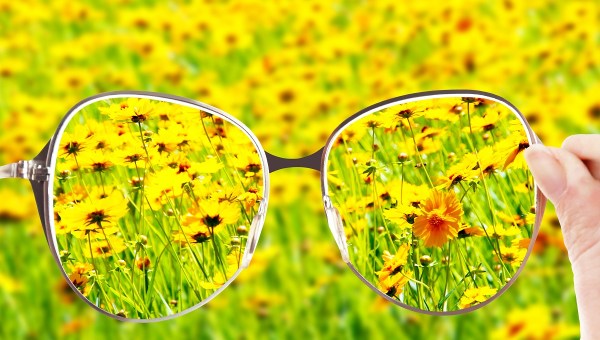 Glasses in Focus, flowers
