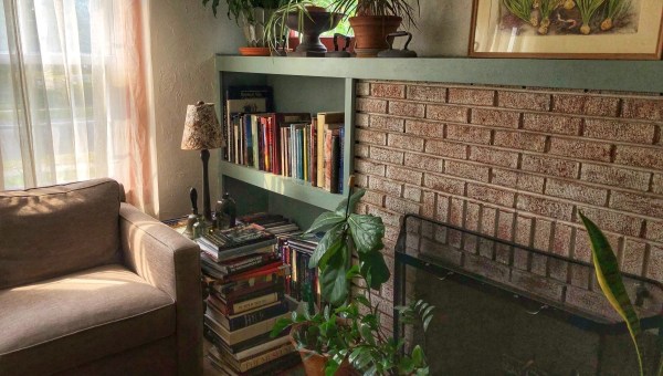 Living room with plants